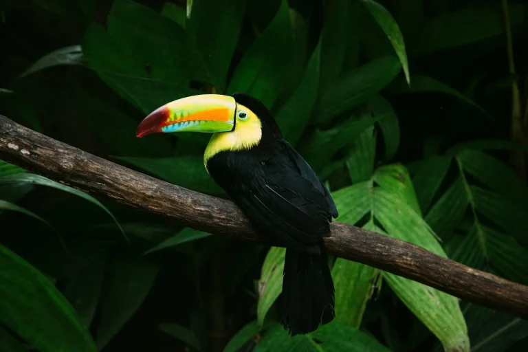 Toucan shortlisted for Best Digital Agency, and we’ve done it on our own terms